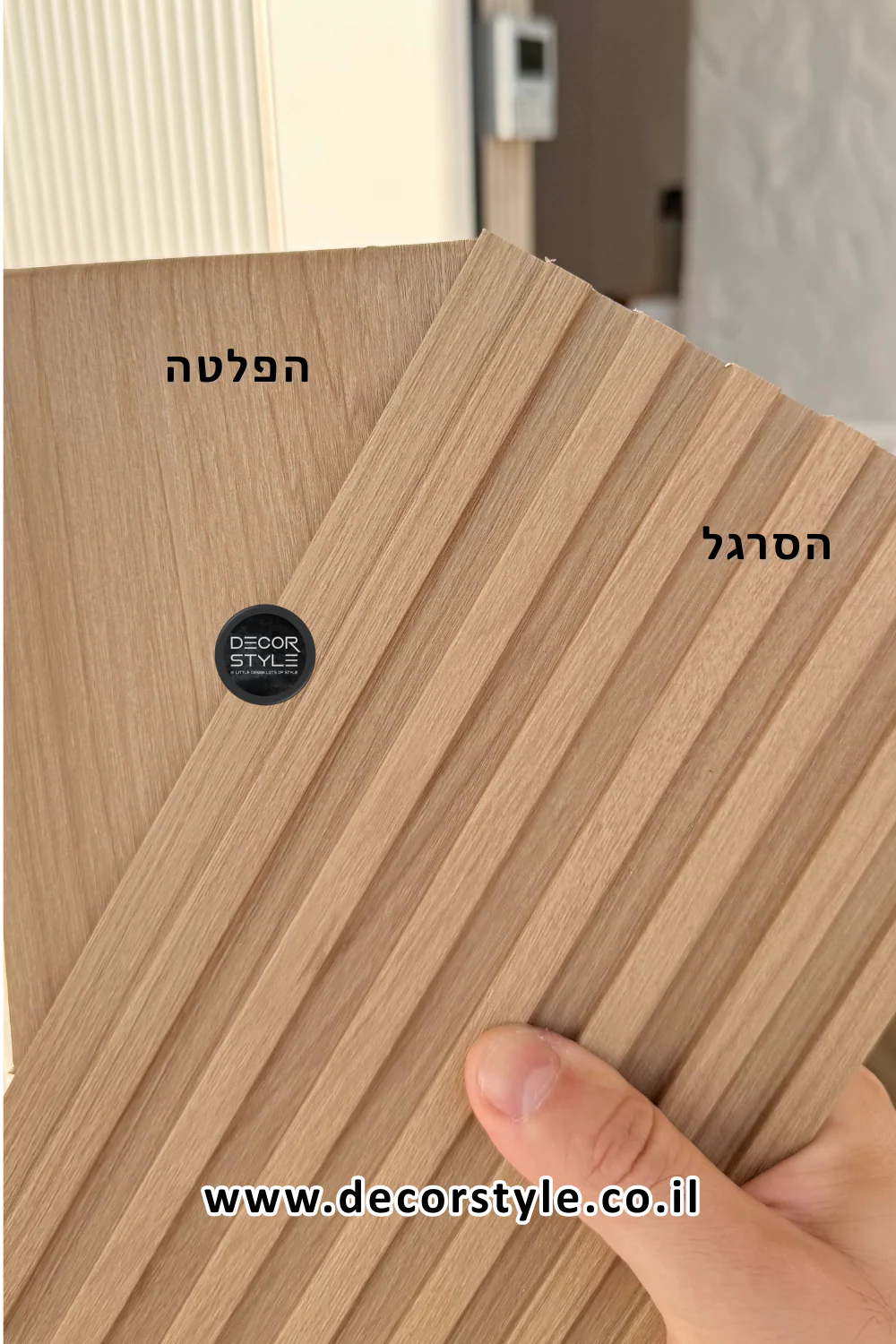 תמונה ממוזערת 2